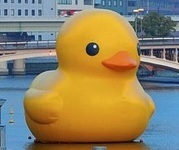 image and PDF in UV